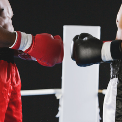 Boxe Anglaise